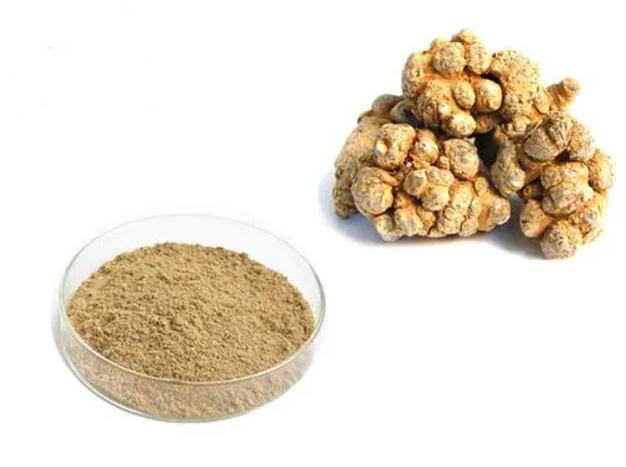 Panax notoginseng total saponins