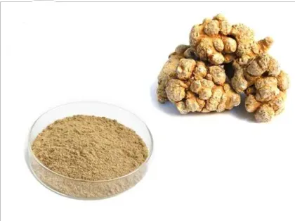 Panax notoginseng total saponins