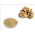Panax notoginseng total saponins