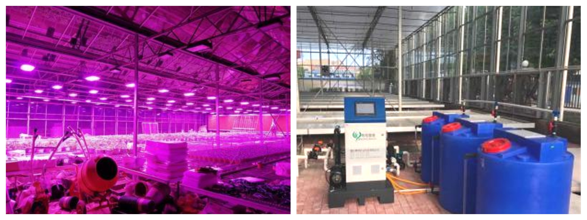 Southwest University Plant Lighting Project