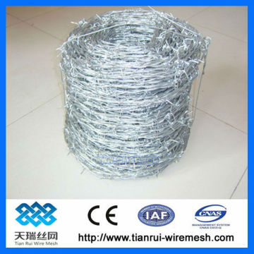Hot sale/ Low price galvanized barbed wire (factory)
