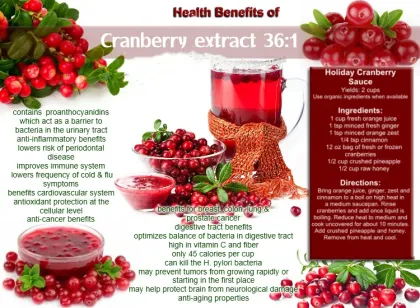 100% Natural Quality Cranberry Extract Powder