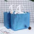 Dress GROCERY LAMININE LAMININE BAG PARMENT NON