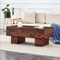 Living Room Coffee Table with Panel Design