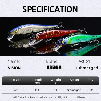 Bearking Asinia Logo Vision 110 Shad 11cm 14g Minnow Wobbler Lure