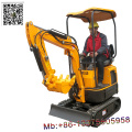 Mini excavatrice chinoise 1 tonne XN12 à vendre