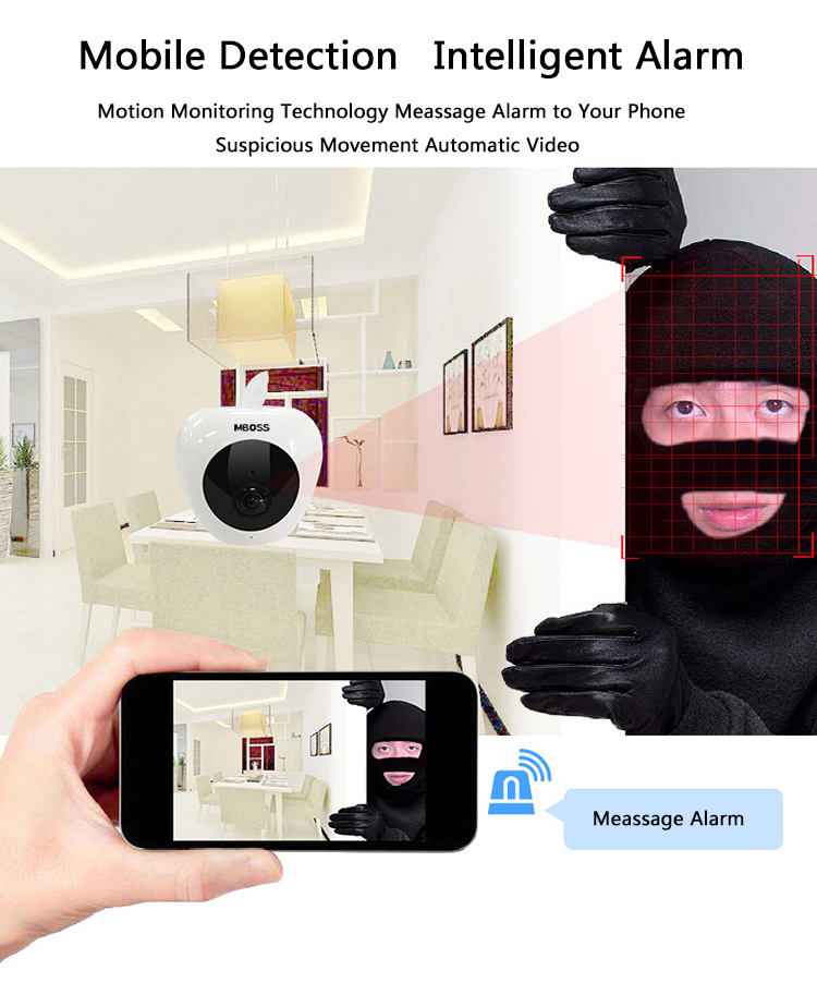 security ip camera