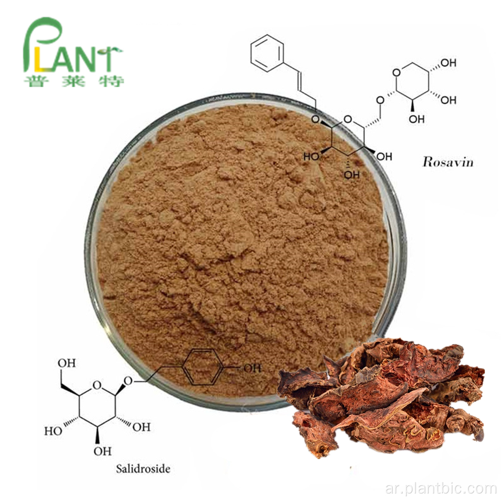 عالية النقاء الطبيعية رهوديولا الوردية استخراج Salidroside