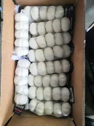 Pure White Snow White Garlic