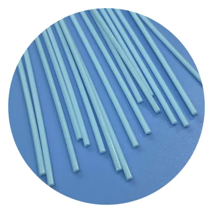 Customized Medical Grade Arkema PEBAX Plastic Double Layers Reinforced Tube for Ablation