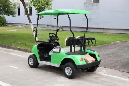 Good Quality 2 passenger Golf Cart