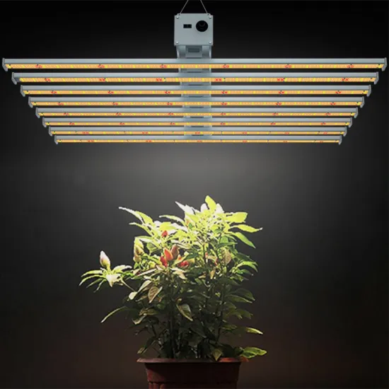 Best Cheap Grow Lights For House Plants