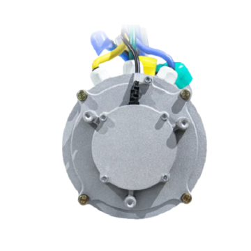 Synchronous Motor with Rare Earth Permanent Magnet