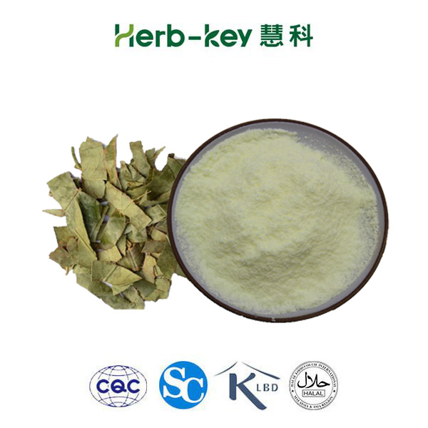 Horny goat weed extract Natural icariin 98%