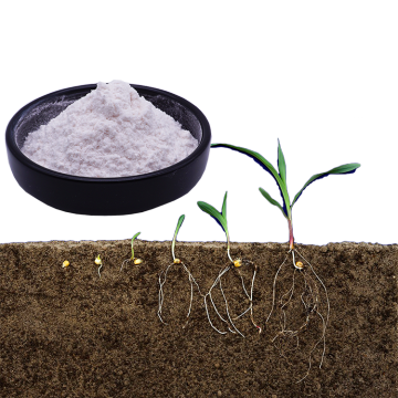 IBA Indole-3-butyric Acid Plant Growth Regulator