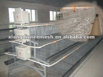 layer poultry cages (factory)
