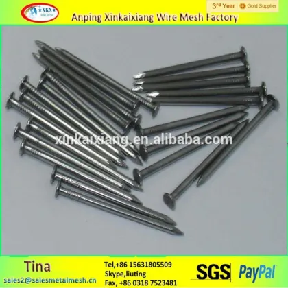 Galvanized china iron nails , common china iron nails , pure china iron nails