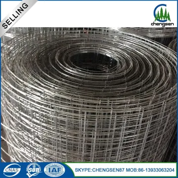 3/4 Inch Stainless Steel Welded Wire Mesh