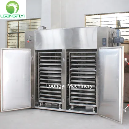 Loongyi industrial food cocopeat onion dryer