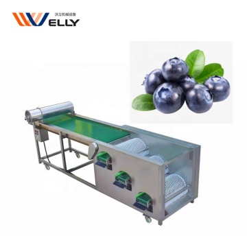 Welly Machinery: Cherry Sorting and Blueberry Sluiting Machines