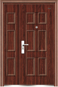Steel Security Door (FAM-19)