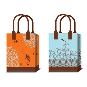 Luxury Custom Paper Shopping Bag