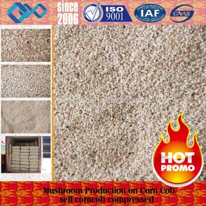 Chinese Corn Cob granule/corn cob grits for Mushroom
