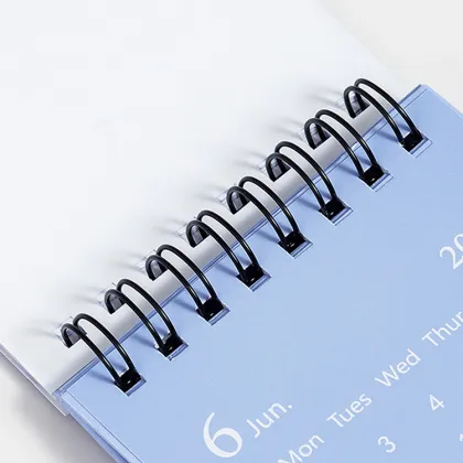 Wholesale Personalized 2025 Campus Planner and Desk Calendar