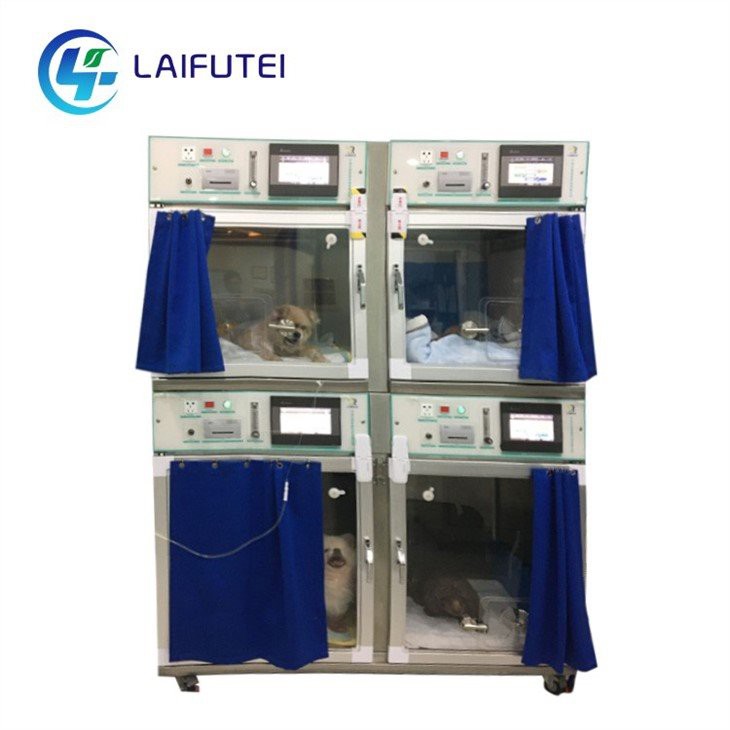 State-of-Art Veterinary ICU Units for Critical Conditions