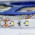 IP55 3528 Smd esnek şerit Led