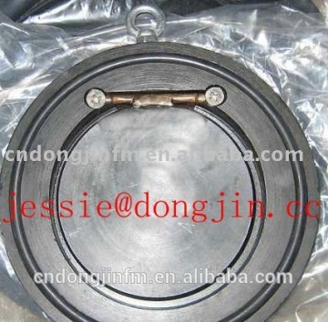 Wafer swing check valve