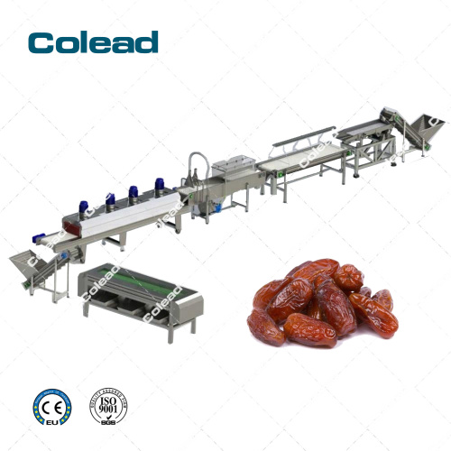 Datte de la machine à laver à haute efficacité Dates de palmier