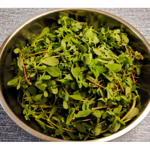 Ma chi xian Chinese natural herba eXTRACT