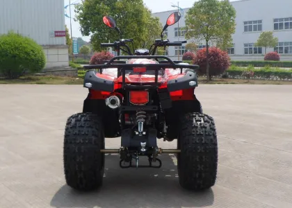 Red Eec Racing 200cc Atv On Mountain Road , One Seat Street Quad Bike