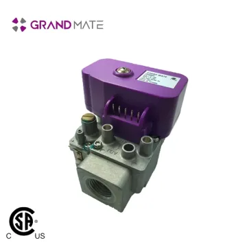 Cooking appliance 120v safety gas oven valve