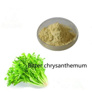 Buy online active ingredients Bitter chrysanthemum Extract