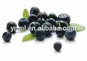 Best selling Blueberry extract weight loss, lose weight pills herbal extract, pure blueberry health supplement
