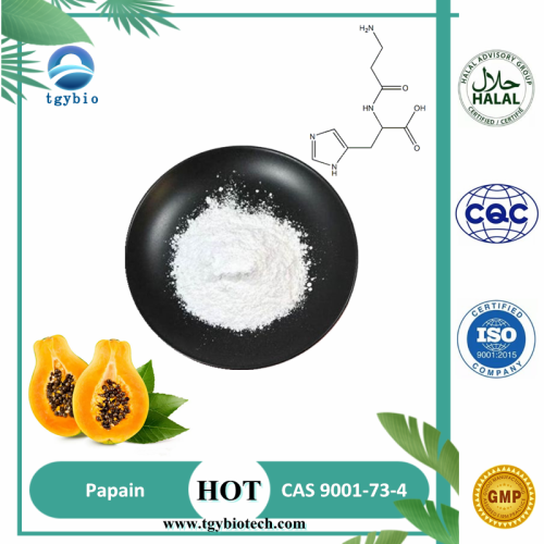 Vitamin D3 Food Grade White Powder Organic Papain Powder Factory