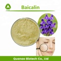 Anti-Microbial Material Scutellaria Baicalensis Root Extract Baicalin 85% HPLC Manufactory