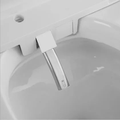 Mobile Intelligent Toilet for Five-Star Hotels