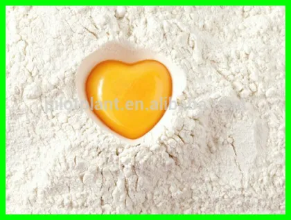 research institutes spray dryer