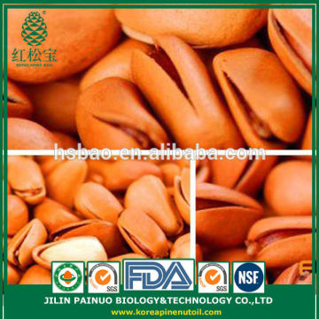 Factory Direct Export Top Quality Guaranteed Open Pine Nuts in Shell