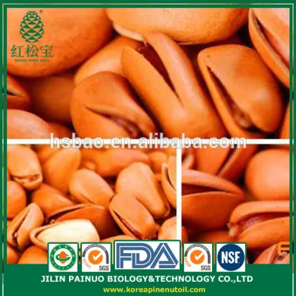 Wholesale High Quality Gift Bag Canned Open Pine Nuts in Shell