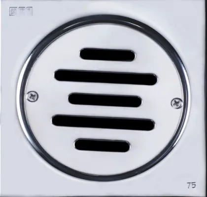 Floor waste floor drain backflow preventer