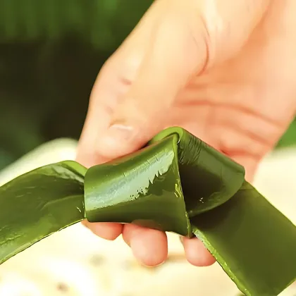 Fragrant braised kelp knot