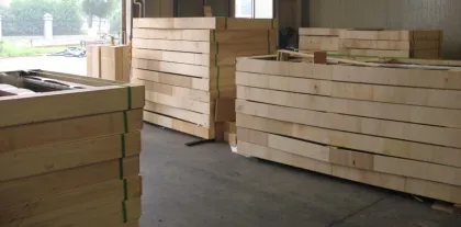 Gate of Horse Fence (Lets Win Steel)