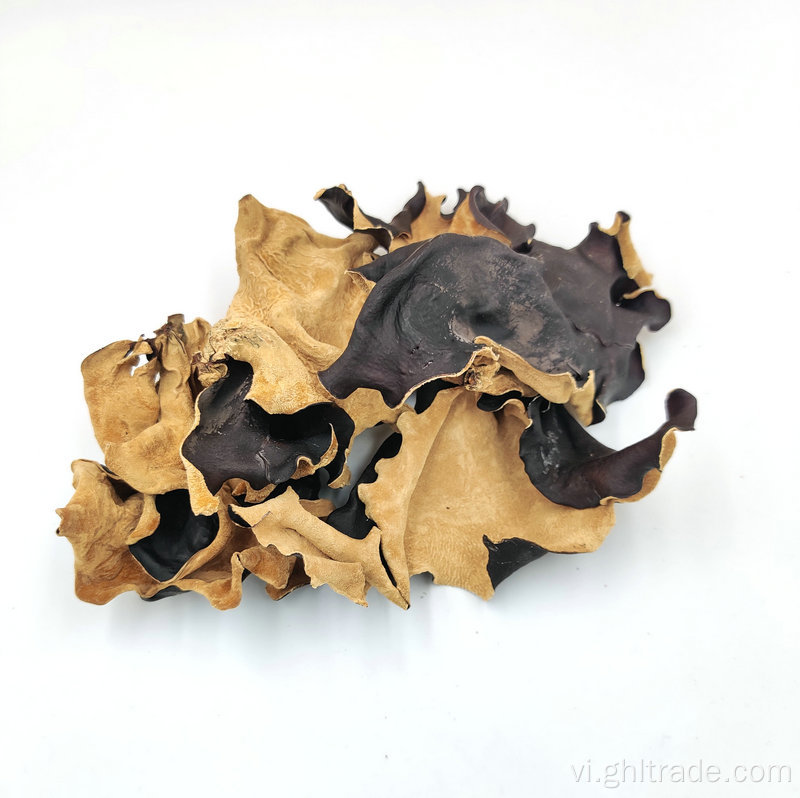 Giá nấm nấm truffle đen tươi