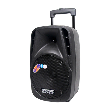 OEM Temeisheng Trolley Karaoke DJ Active Speaker with Powered Battery
