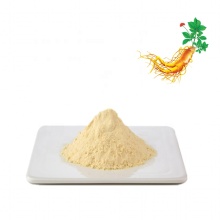 Ginseng medicine grade ginseng root extract powder