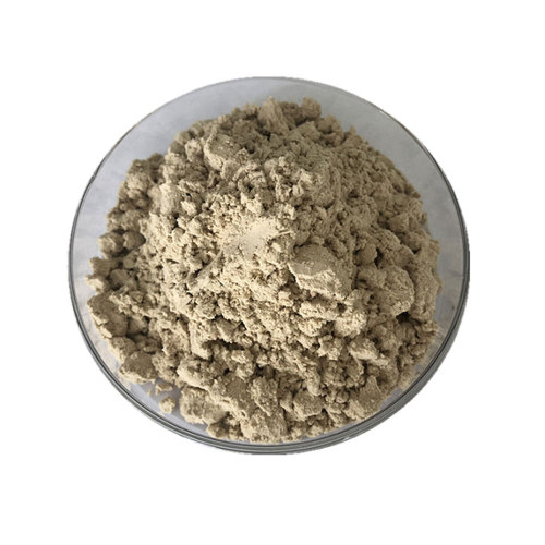 Bulk de proteína de girassol orgânico